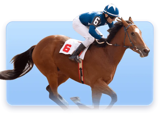 AB33 horse racing